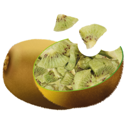 Snack de Kiwi Liofilizado