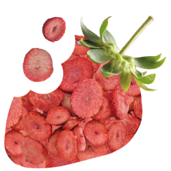 Snack de Fresa Liofilizada