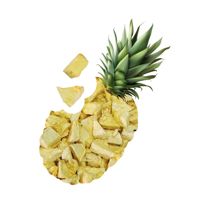 Piña Liofilizada