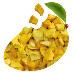 Mango Liofilizado