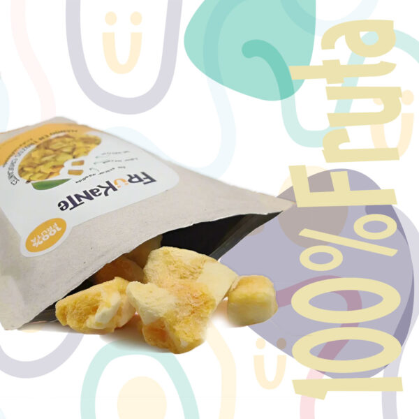 Mango liofilizado x 20 GR. - Imagen 4
