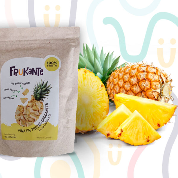 Piña liofilizada x 15 GR.